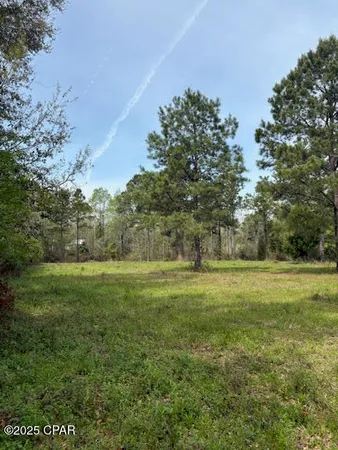 $250,000 | 5495 Highway 90, Marianna, FL 32446