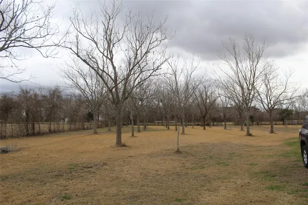 a view of outdoor space with trees