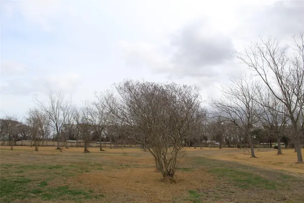 a view of dirt yard with trees