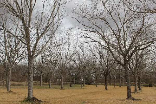 a view of outdoor space with trees