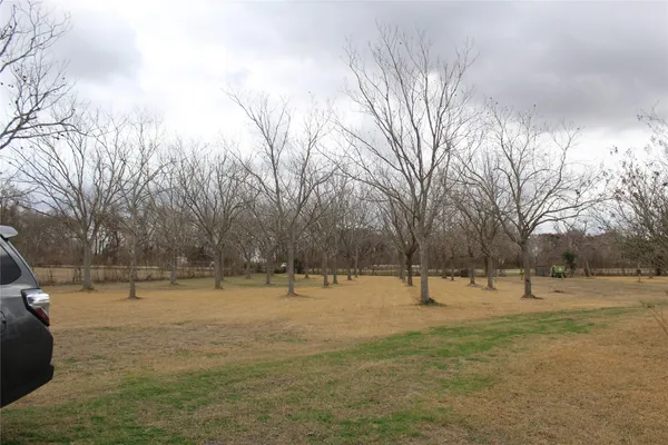a view of outdoor space with trees