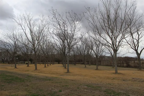 a view of outdoor space with trees