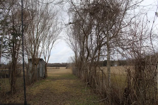a view of outdoor space and yard