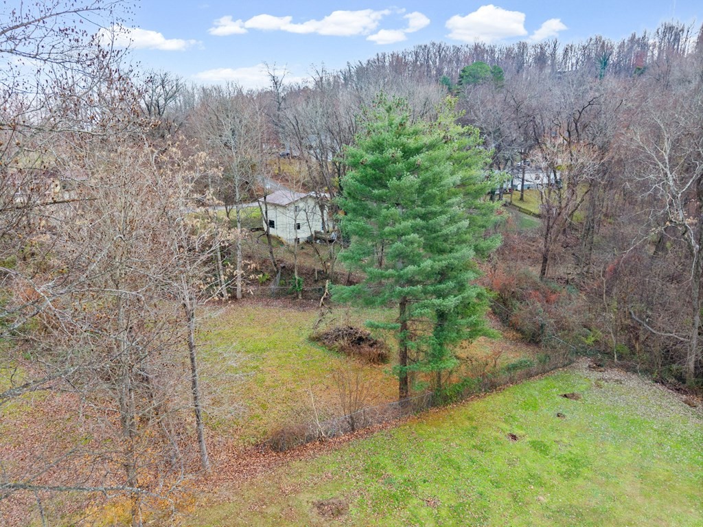 939 Watauga Road Cookeville, TN 38506 - Photo 24 of 28 a view of a yard with large trees