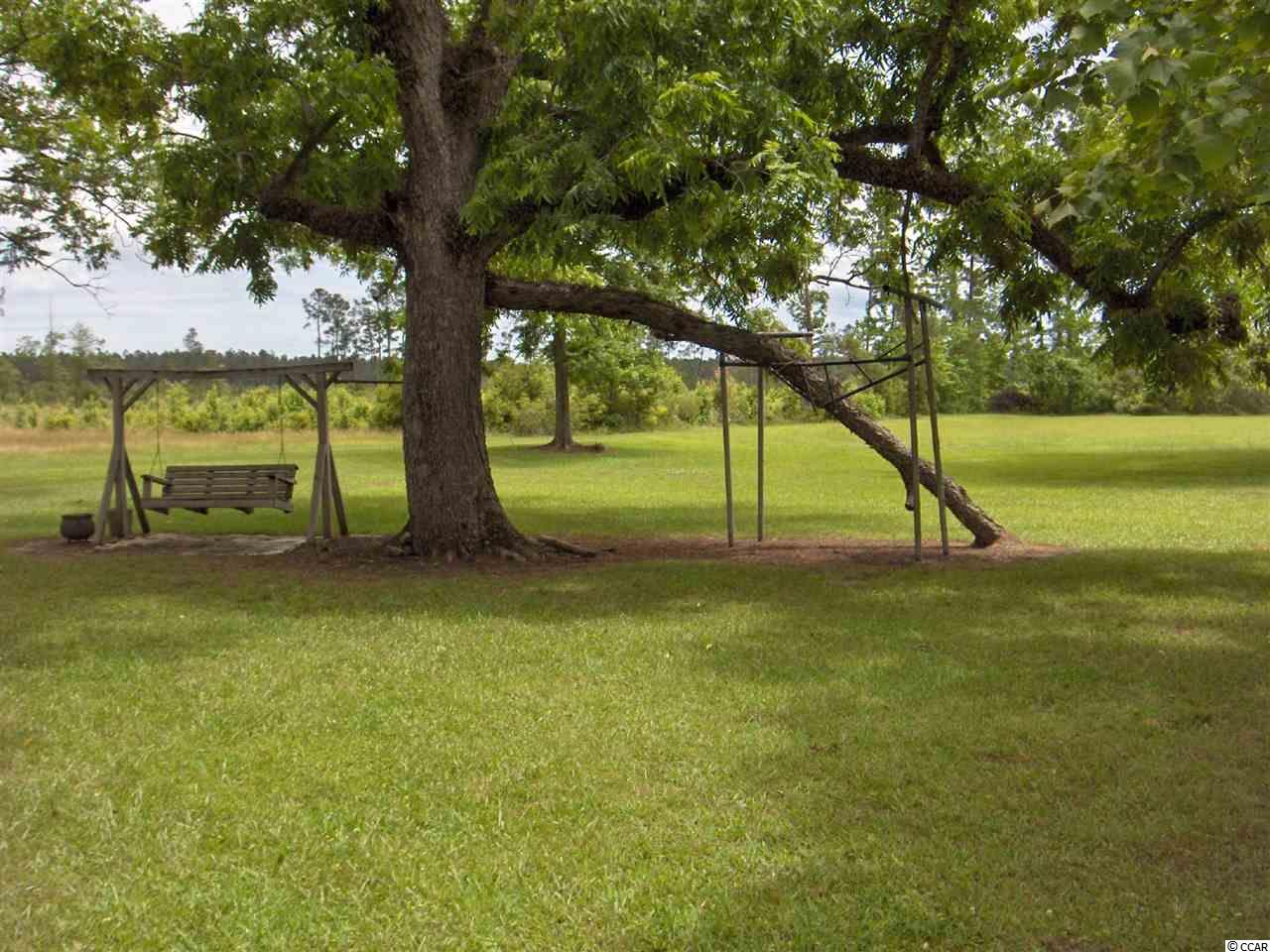 3105 Saints Delight Road Georgetown, SC 29440 - Photo 16 of 24 Gallery Image 16