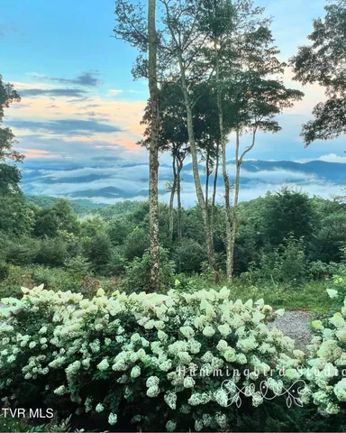 $1,499,000 | 7464 Callalantee Drive, Mountain City, TN 37683