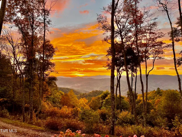 $1,499,000 | 7464 Callalantee Drive, Mountain City, TN 37683