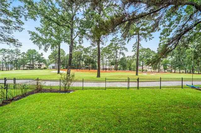 a view of a park with large trees