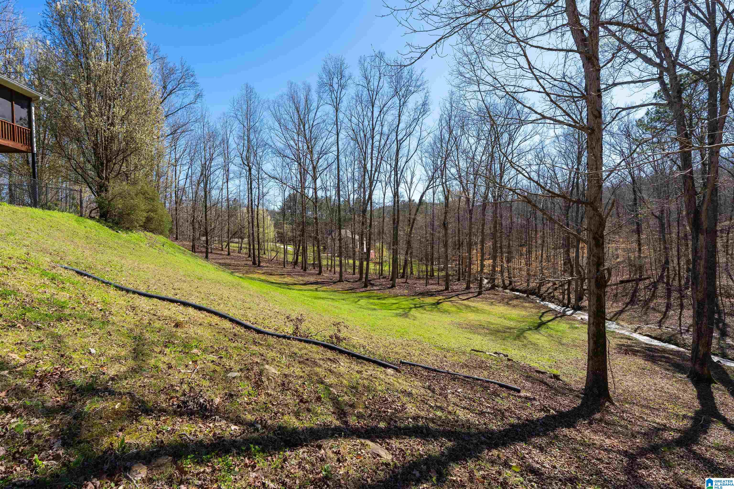 8560 Pine Mountain Road Pinson, AL 35126 - Photo 39 of 59