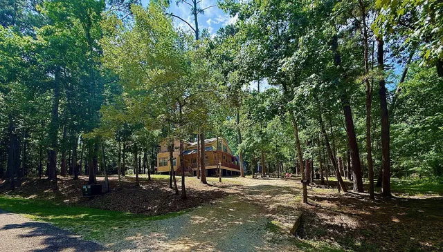 a view of a park with large trees