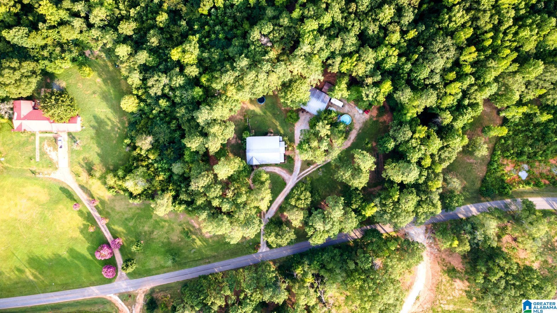 1781 Owens Road Ashland, AL 36251 - Photo 7 of 58
