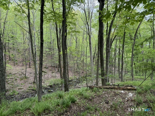 Lot10-b1 Foot Hills Road Higganum, CT 06441 - Photo 12 of 33 a view of a garden with large trees