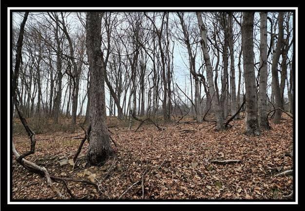 0 Black Run Road, Unit TRACT 8) Chillicothe, OH 45601 - Photo 34 of 47 image036