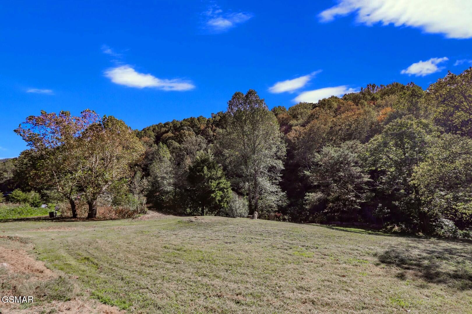 2409 Perilla Road Cosby, TN 37722 - Photo 21 of 50 Gallery Image 21