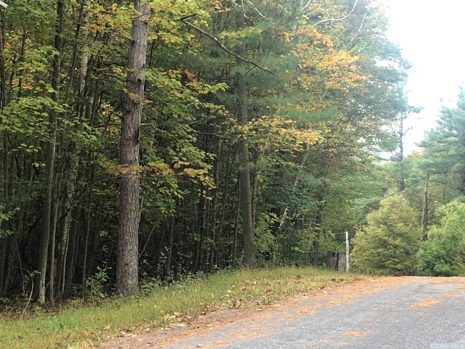 0 Dederich Road East Durham, NY 12423 - Photo 2 of 4 Photo 2