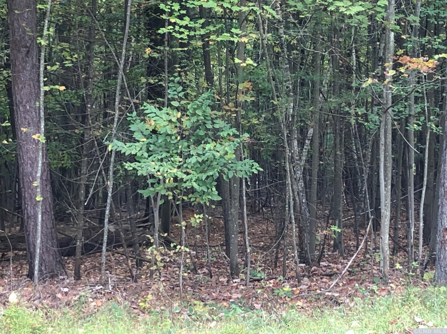 0 Dederich Road East Durham, NY 12423 - Photo 3 of 4 Photo 3