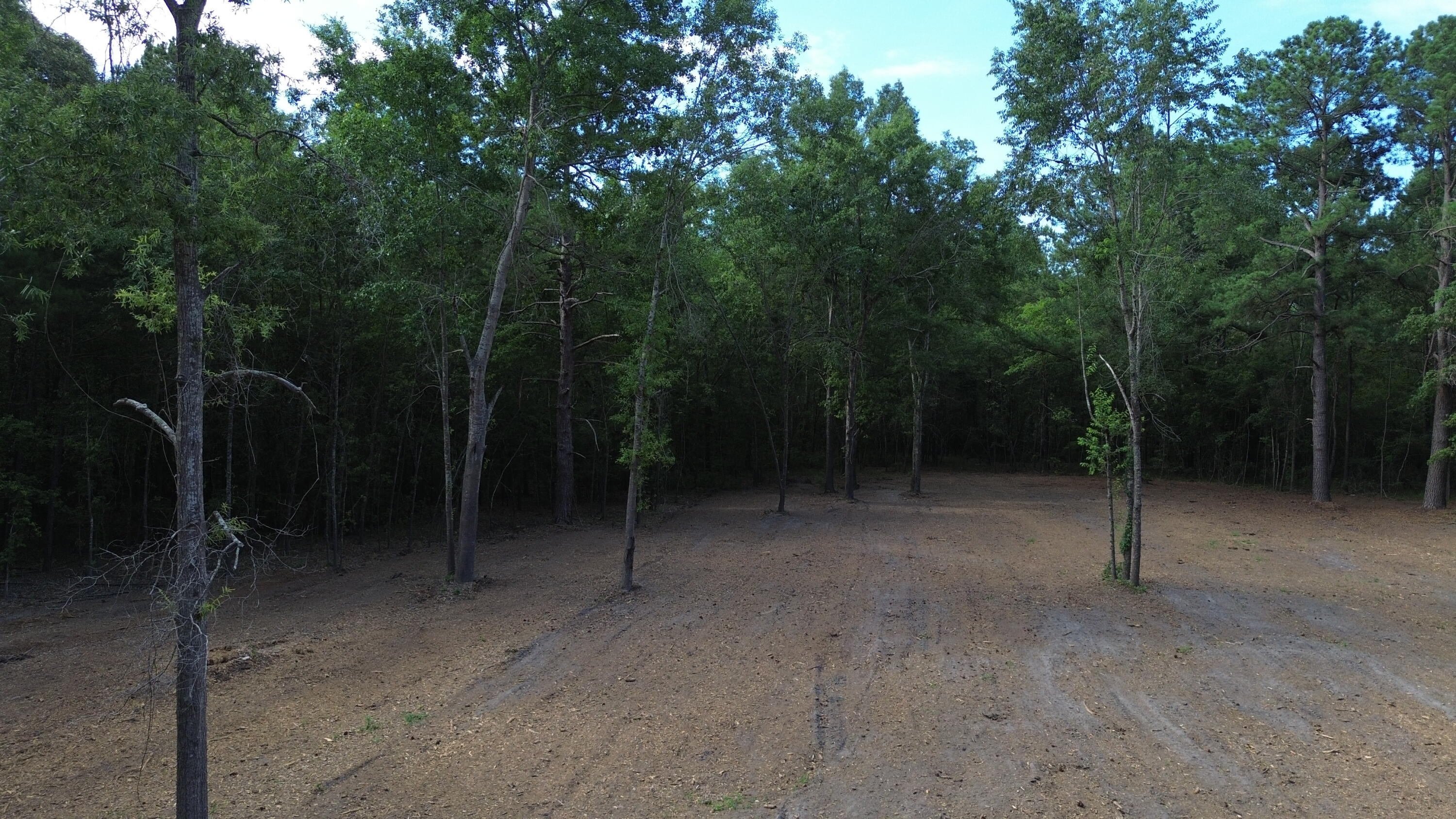 3 Trojan Road Cross, SC 29436 - Photo 13 of 21
