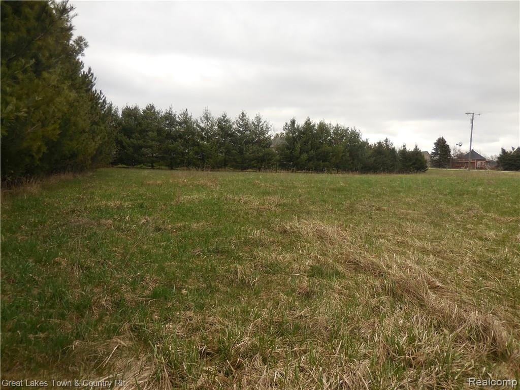 2 B Attica Road Attica, MI 48412 - Photo 9 of 16