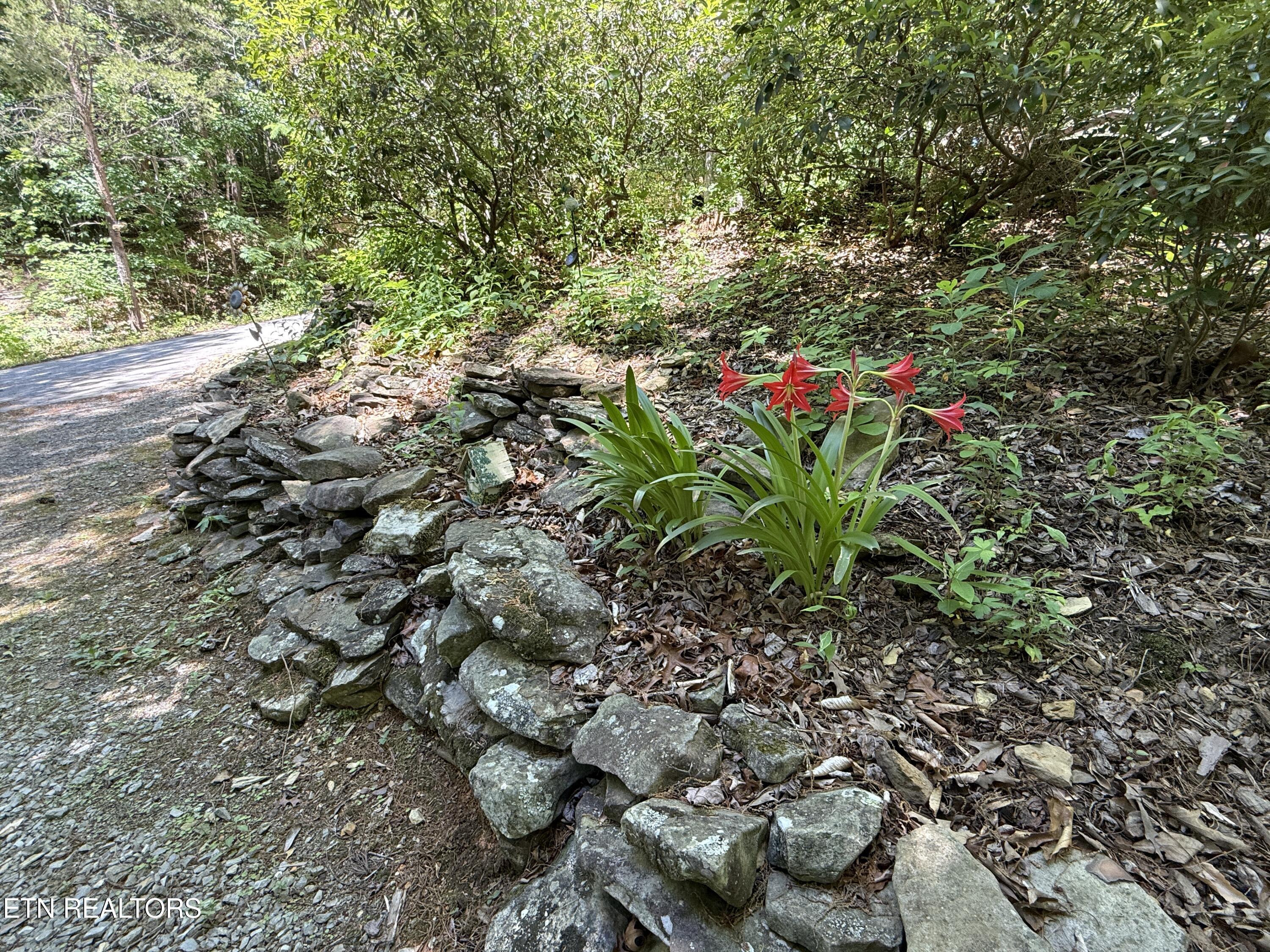 4039 Barb Hollow Road Walland, TN 37886 - Photo 12 of 46 Median flowers