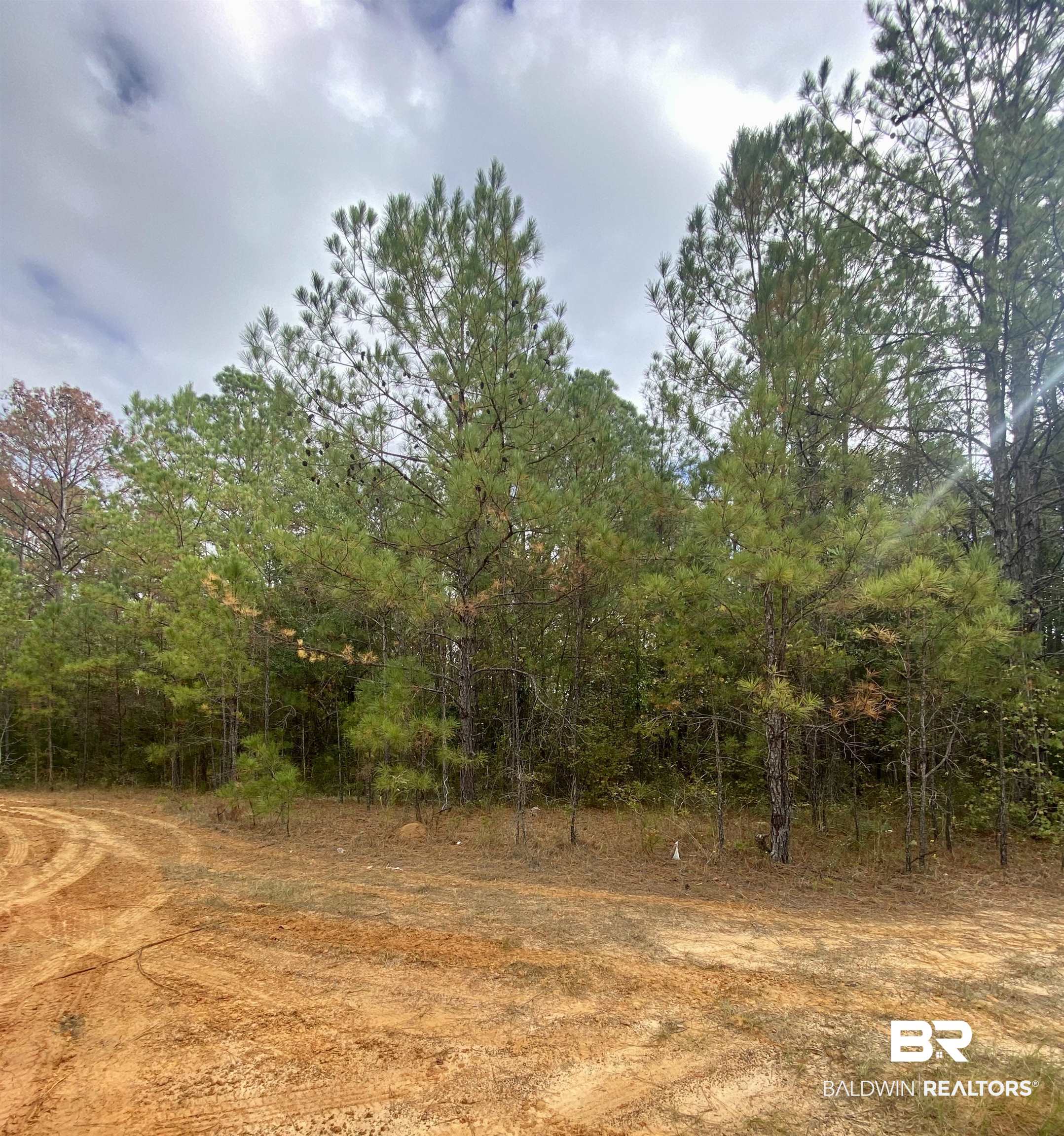 0 Owassa Road Evergreen, AL 36401 - Photo 2 of 6