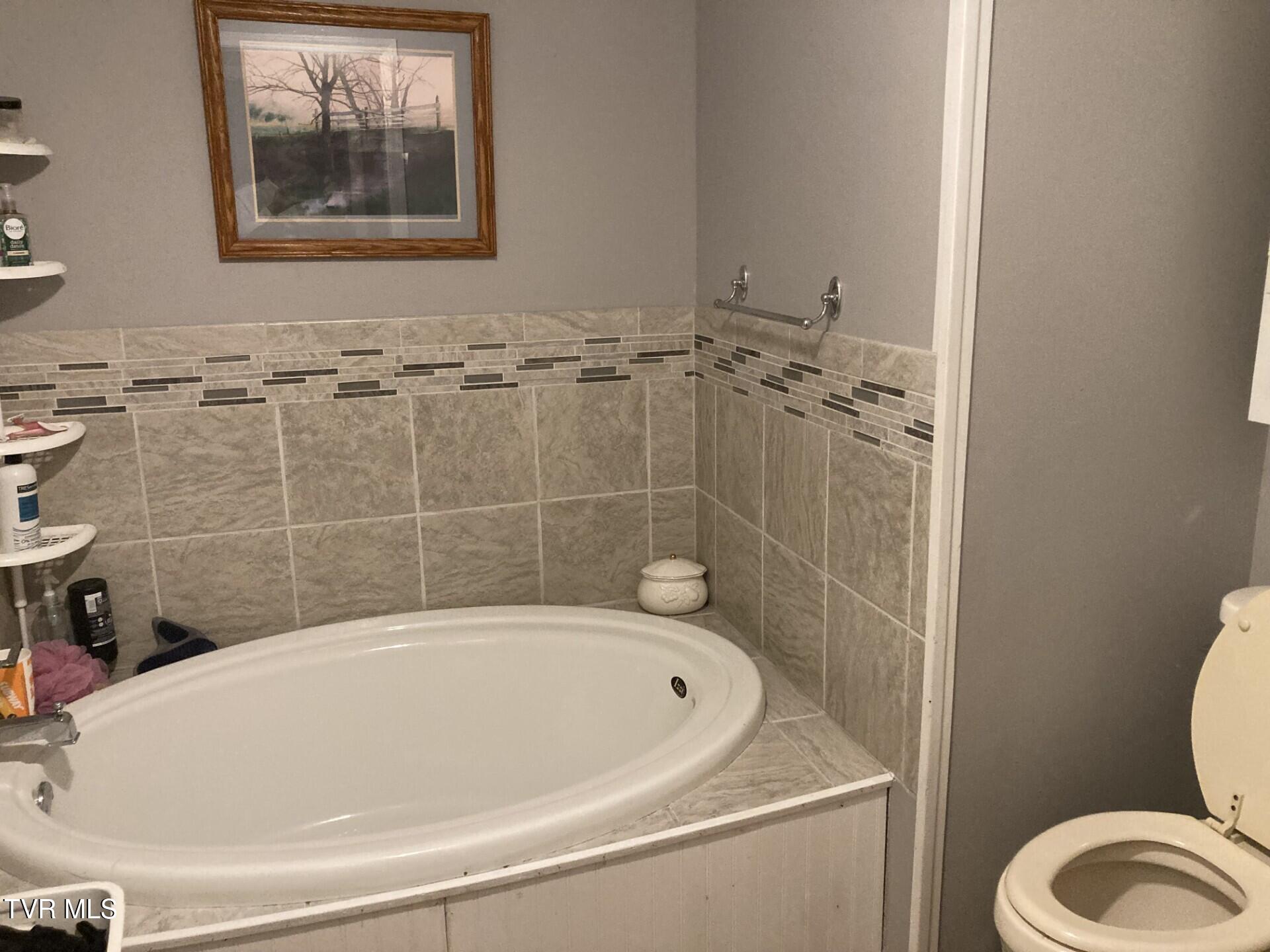 1276 Ryder Church Road Bluff City, TN 37618 - Photo 9 of 13 main bath