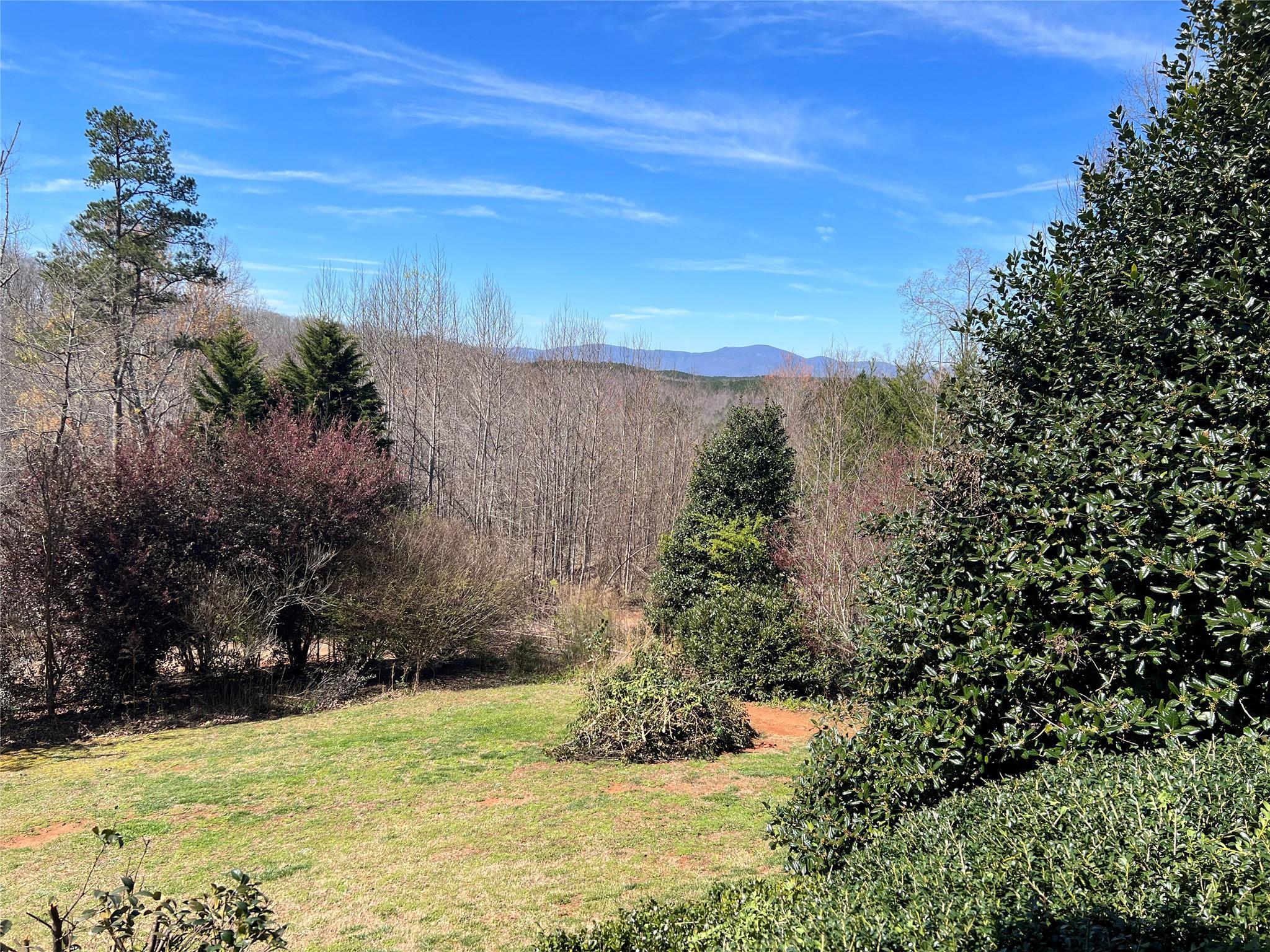 314 Windy Ridge Drive Rutherfordton, NC 28139 - Photo 37 of 46