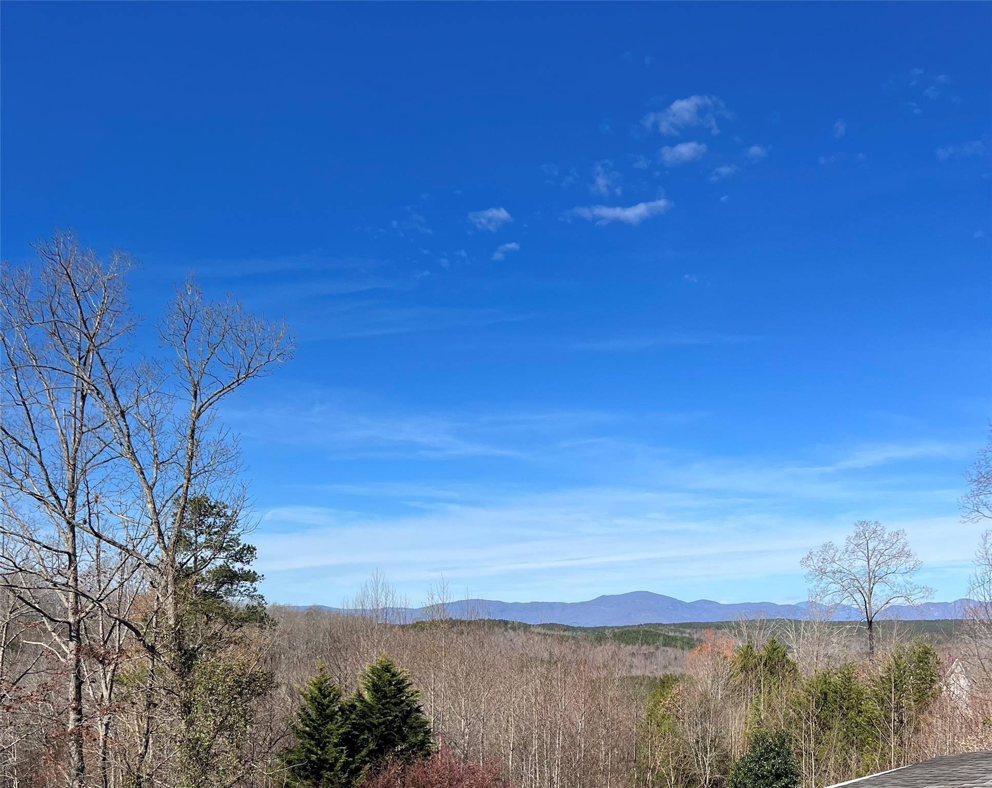 314 Windy Ridge Drive Rutherfordton, NC 28139 - Photo 4 of 46