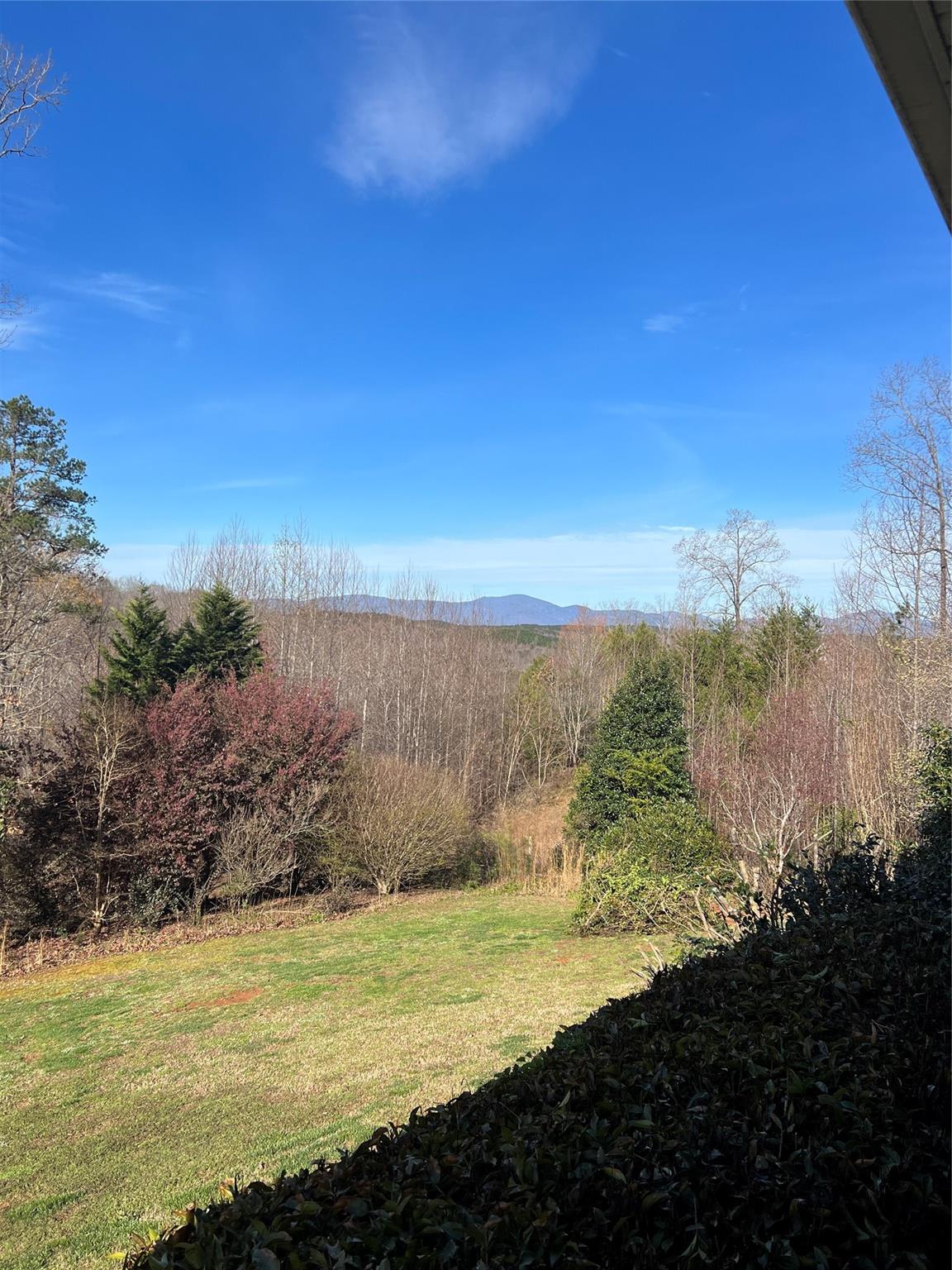 314 Windy Ridge Drive Rutherfordton, NC 28139 - Photo 5 of 46
