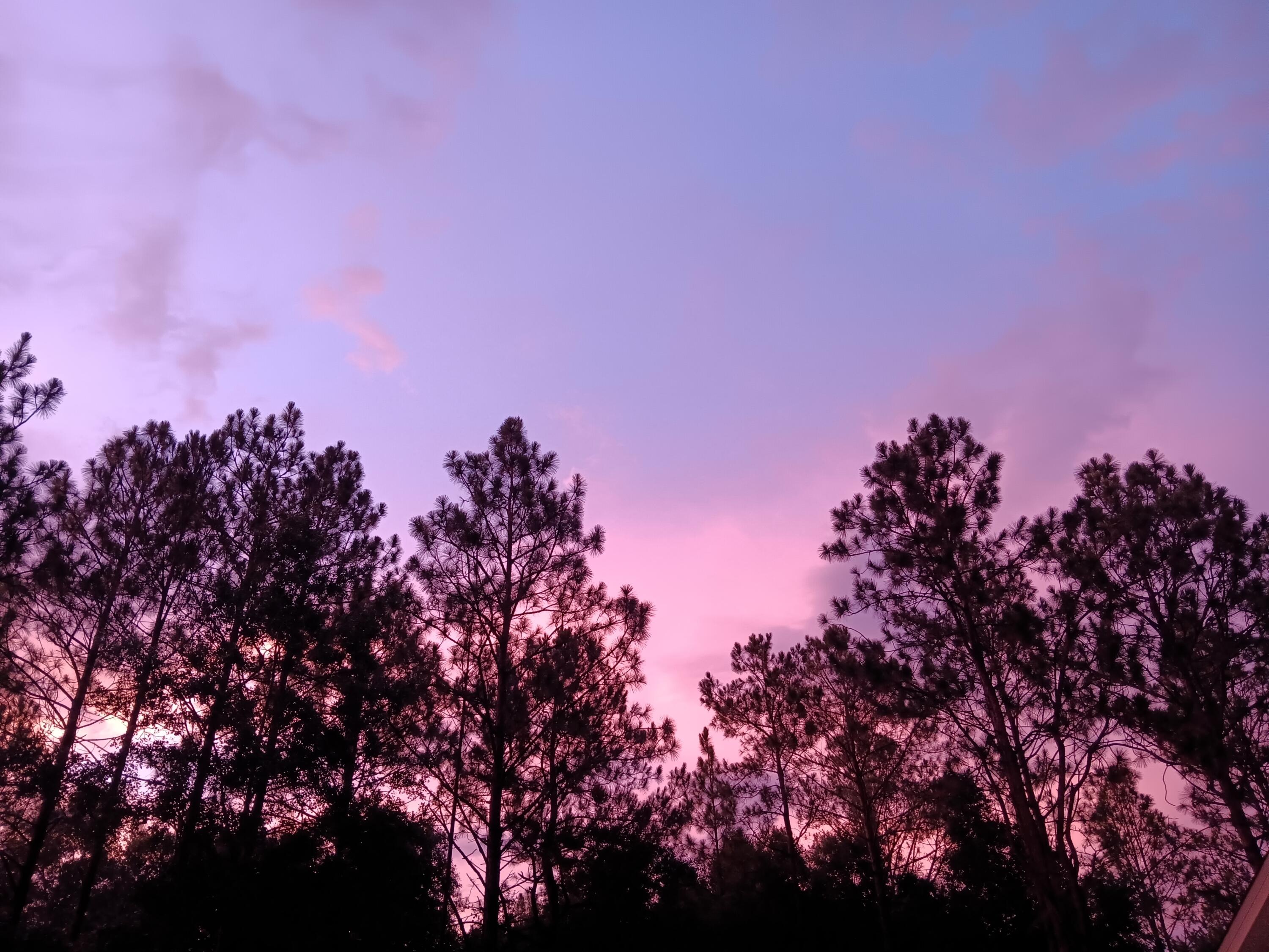 6269 Possum Ridge Road Crestview, FL 32539 - Photo 46 of 46 45
