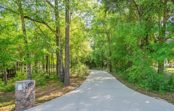 a view of a street with a trees