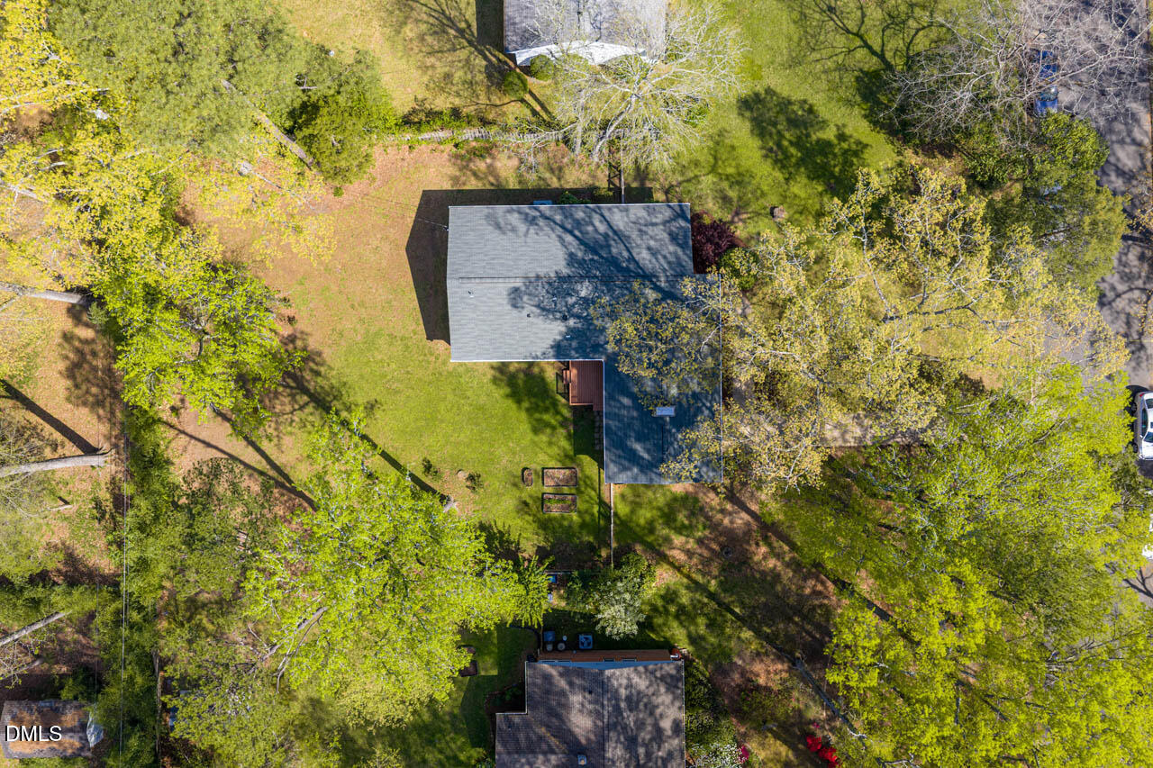 231 Flemington Road Chapel Hill, NC 27517 - Photo 39 of 43 a picture of a tree