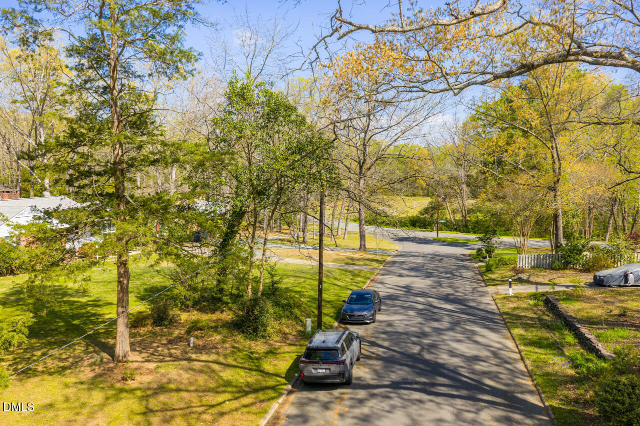 231 Flemington Road Chapel Hill, NC 27517 - Photo 40 of 43 a view of a yard with plants and large trees