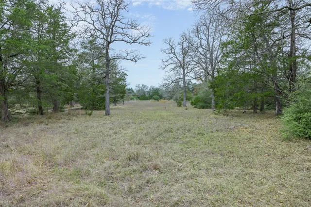 $1,350,000 | 150 Turner Lane, Paige, TX 78659