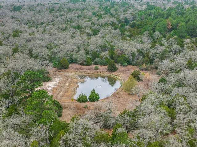 $1,350,000 | 150 Turner Lane, Paige, TX 78659