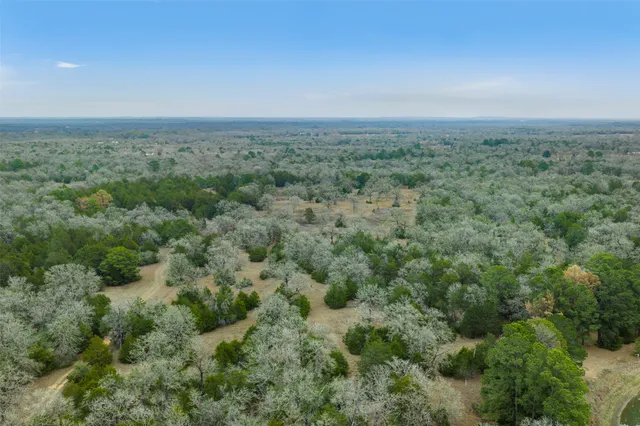 $1,350,000 | 150 Turner Lane, Paige, TX 78659
