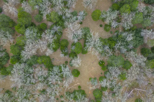 $1,350,000 | 150 Turner Lane, Paige, TX 78659