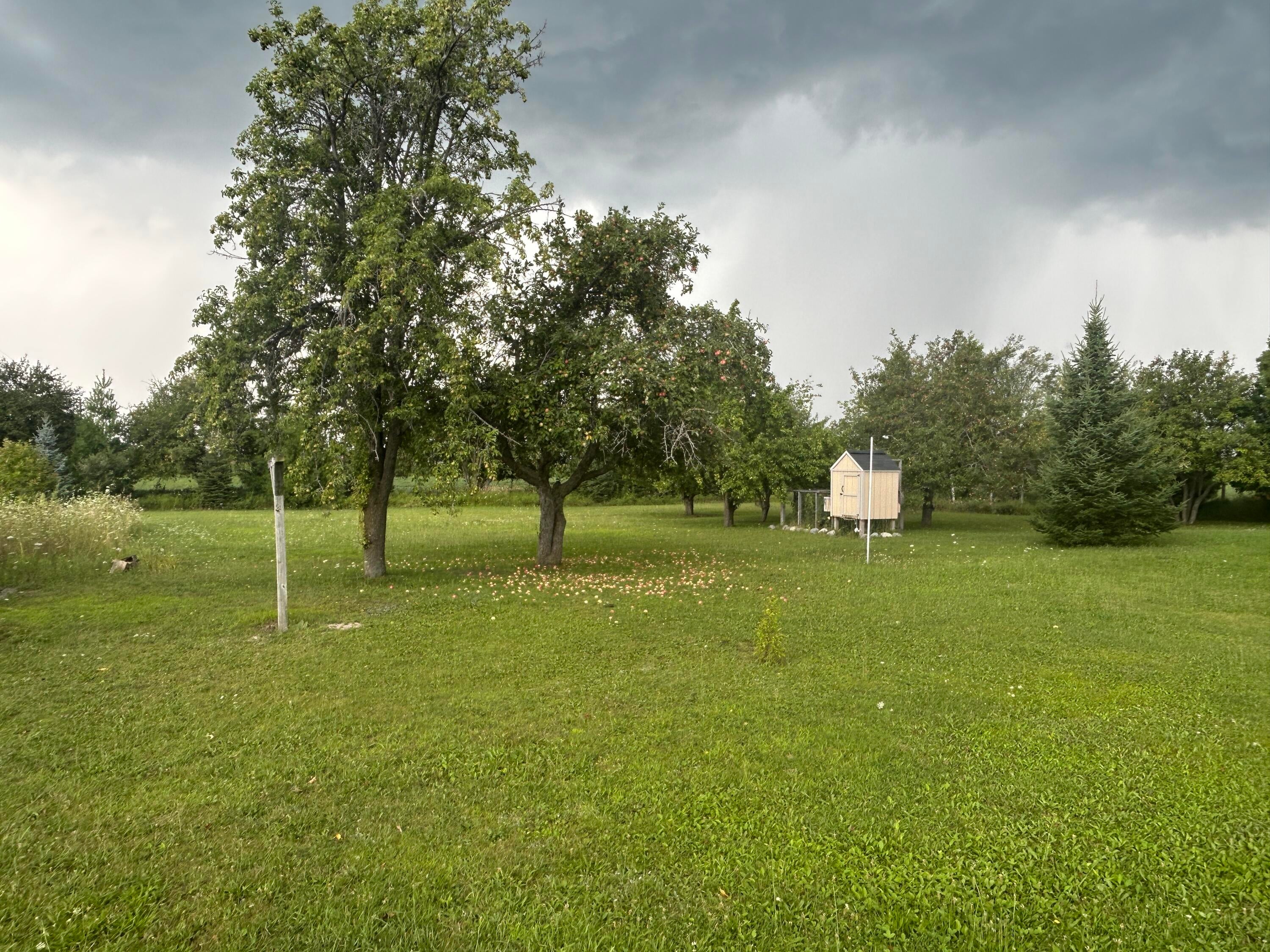 7008 Marwede Road Alpena, MI 49707 - Photo 20 of 23 Yard