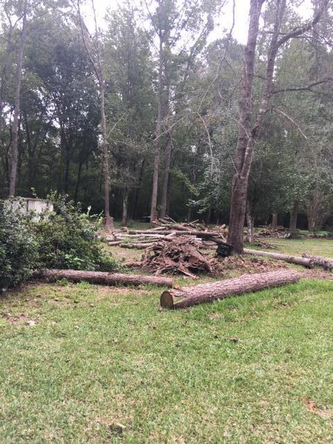 527 Rowe Lane Round O, SC 29474 - Photo 3 of 7 0 rowe 3