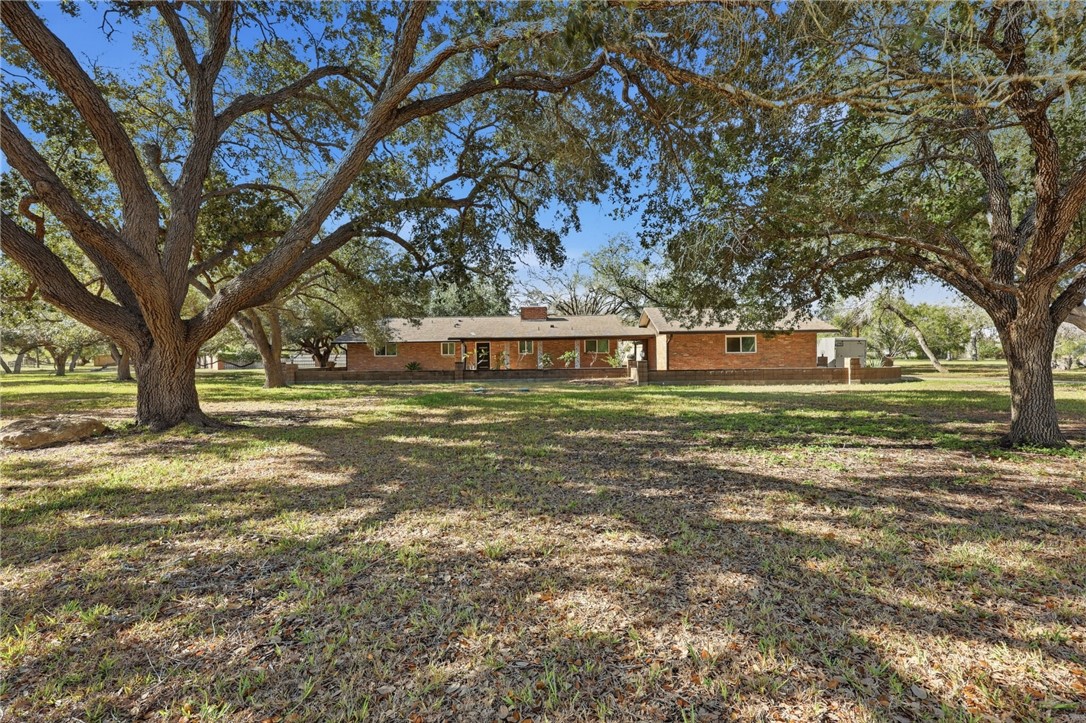 5513 March Street Robstown, TX 78380 - Photo 1 of 26 a view of a tree in a yard