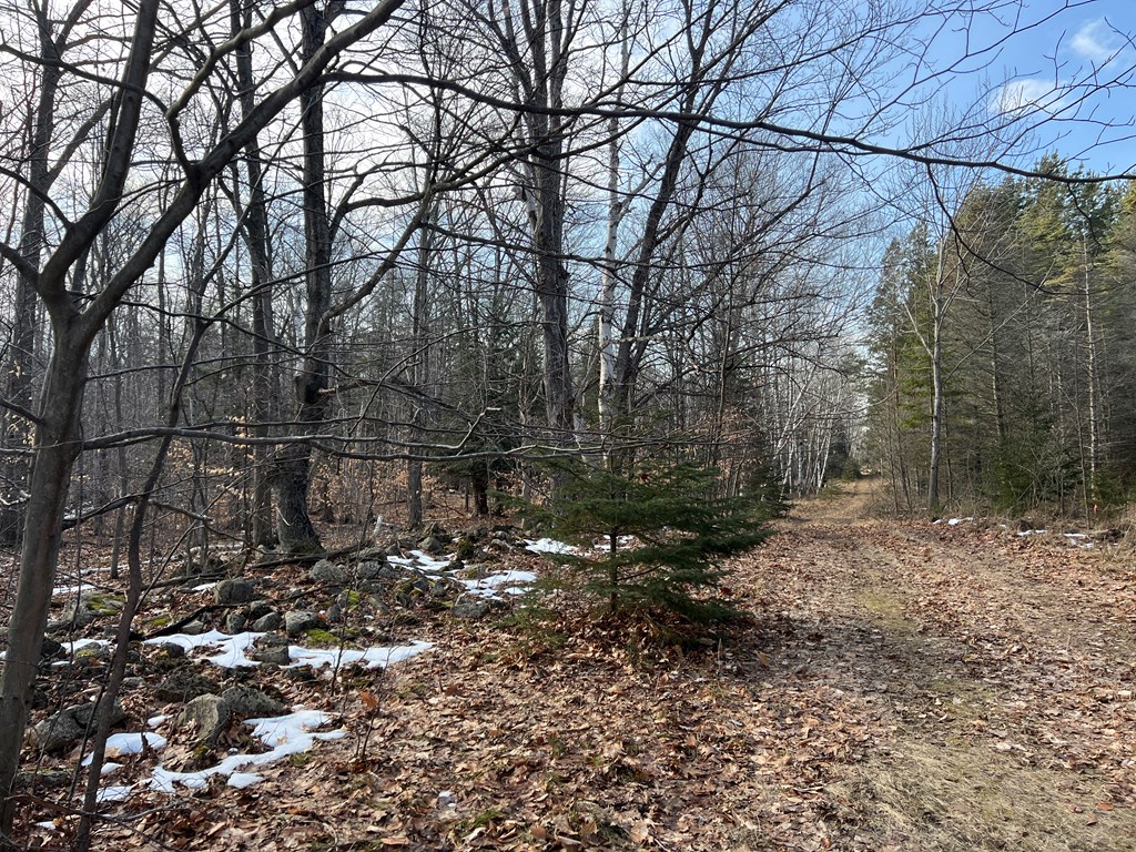 Tbd Jackson Harbor Road Washington Island, WI 54246 - Photo 2 of 6