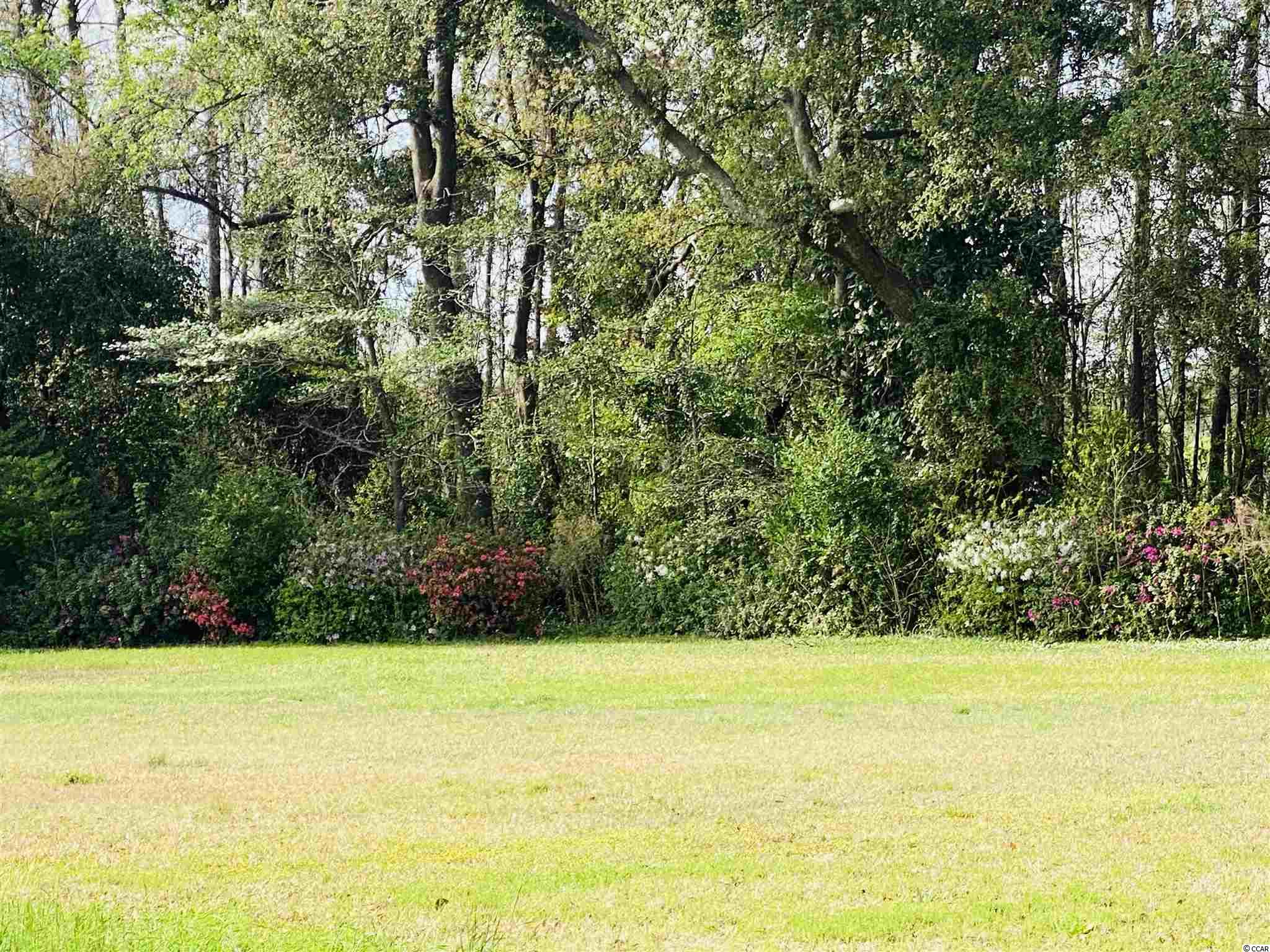 1006 Pyatt Street Georgetown, SC 29440 - Photo 3 of 19 Gallery Image 3