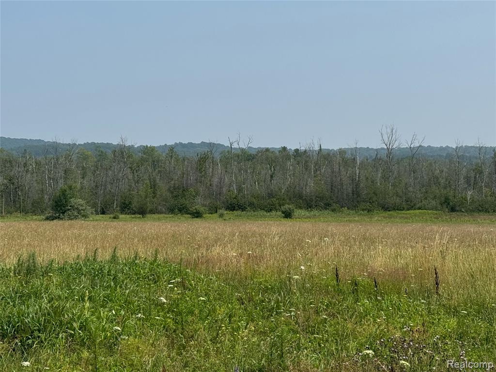 4266 Glovers Lake Road Arcadia, MI 49613 - Photo 2 of 4