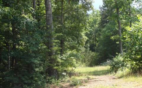 10-ac Rockridge Road Murphy, NC 28906 - Photo 1 of 1 Main View