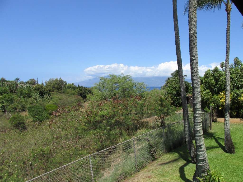 120 Hui Rd F Road, Unit D11 Lahaina, HI 96761 - Photo 11 of 22 Gallery Image 11
