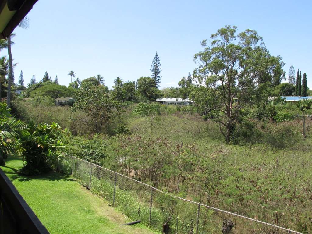 120 Hui Rd F Road, Unit D11 Lahaina, HI 96761 - Photo 12 of 22 Gallery Image 12