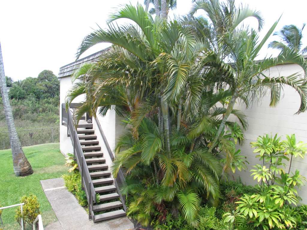 120 Hui Rd F Road, Unit D11 Lahaina, HI 96761 - Photo 20 of 22 Gallery Image 20