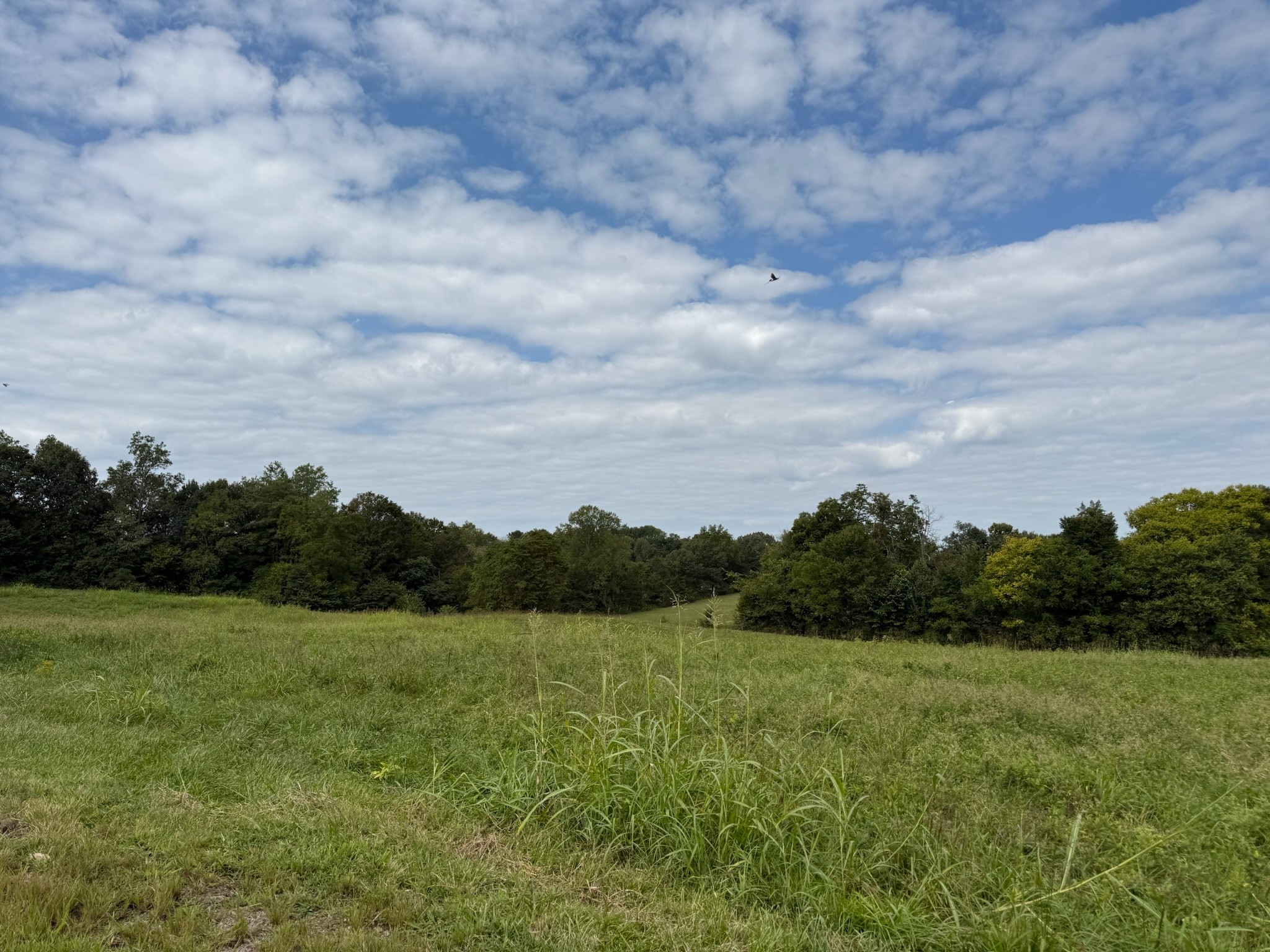 1 County House Road Tompkinsville, KY 42167 - Photo 4 of 9 a view of a field with sky view
