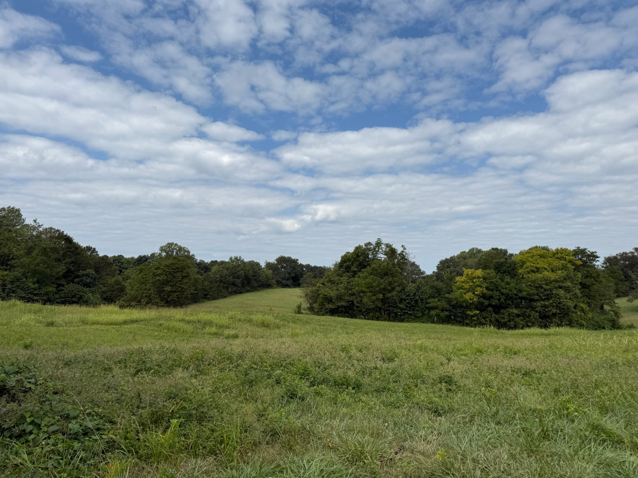1 County House Road Tompkinsville, KY 42167 - Photo 5 of 9 a view of a field of grass and trees