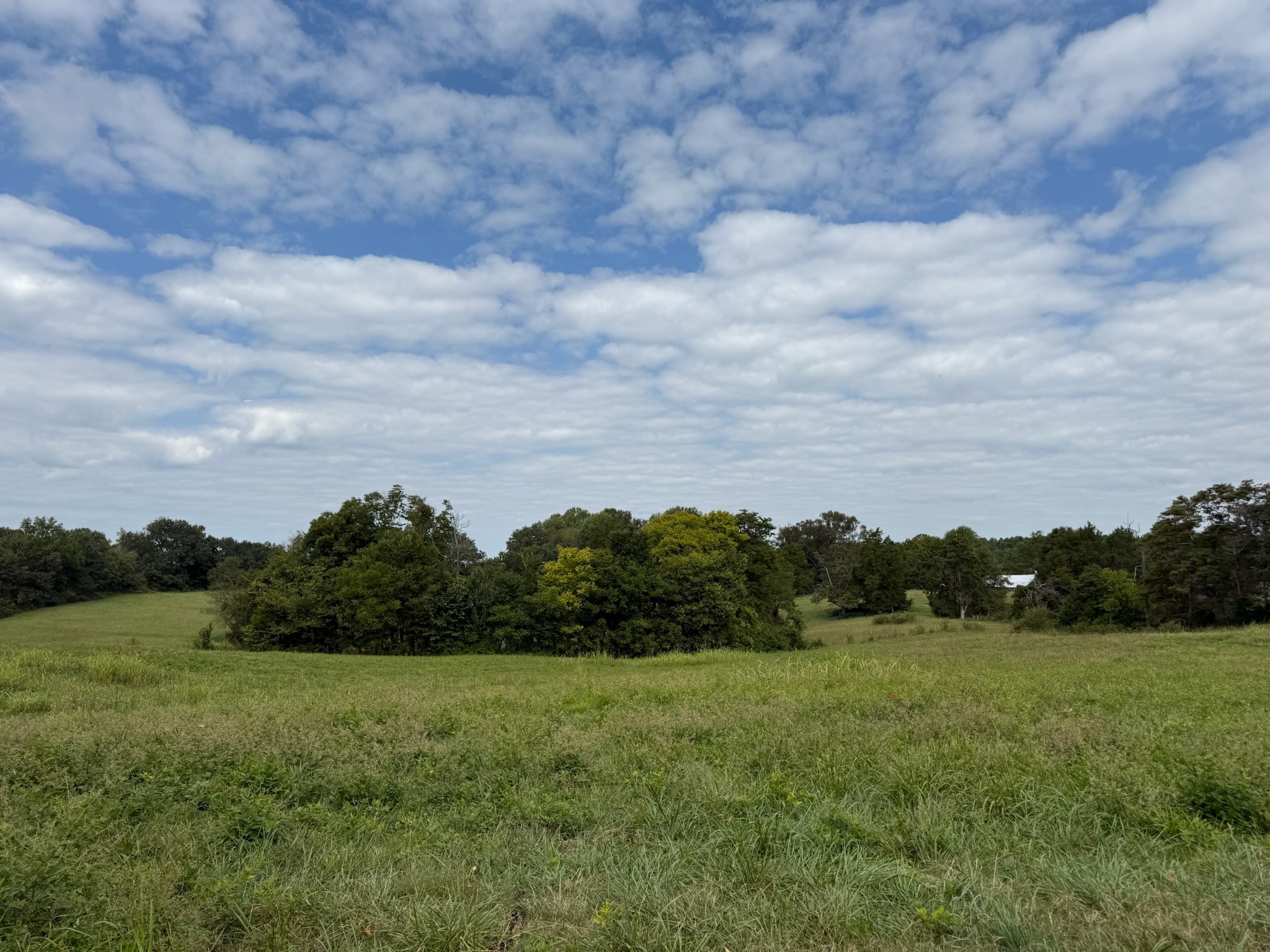 1 County House Road Tompkinsville, KY 42167 - Photo 6 of 9 a view of a field and mountains in background