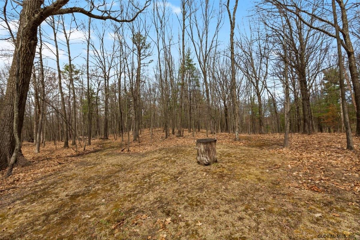 177 Beaver Road Schodack, NY 12123 - Photo 35 of 44 Photo 35